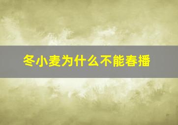 冬小麦为什么不能春播