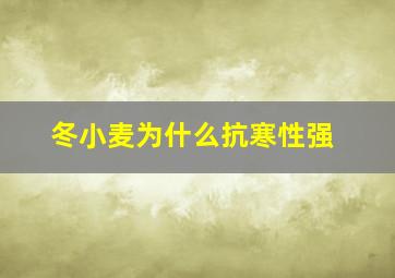 冬小麦为什么抗寒性强