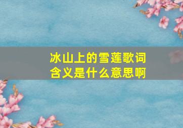 冰山上的雪莲歌词含义是什么意思啊