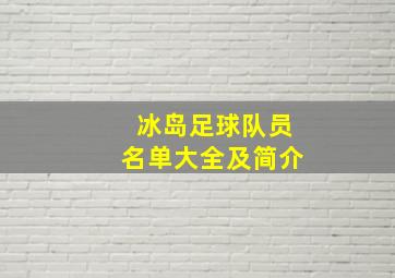 冰岛足球队员名单大全及简介