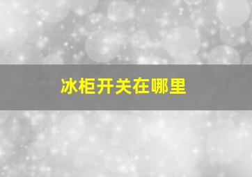 冰柜开关在哪里