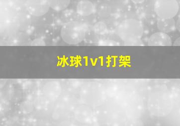 冰球1v1打架