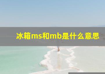 冰箱ms和mb是什么意思