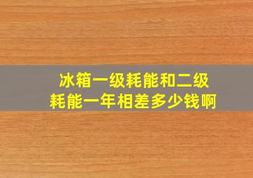 冰箱一级耗能和二级耗能一年相差多少钱啊