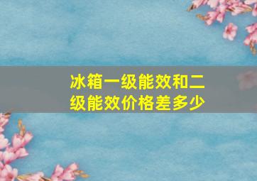 冰箱一级能效和二级能效价格差多少