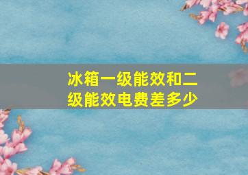 冰箱一级能效和二级能效电费差多少