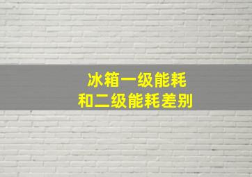 冰箱一级能耗和二级能耗差别