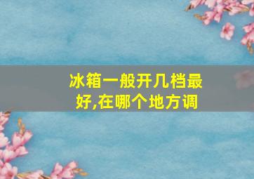 冰箱一般开几档最好,在哪个地方调