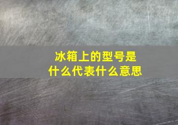 冰箱上的型号是什么代表什么意思