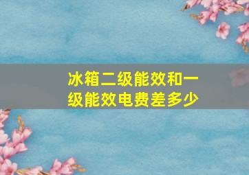 冰箱二级能效和一级能效电费差多少