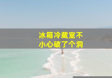 冰箱冷藏室不小心破了个洞