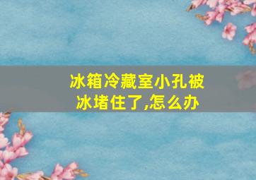 冰箱冷藏室小孔被冰堵住了,怎么办