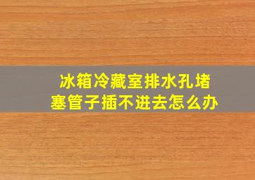 冰箱冷藏室排水孔堵塞管子插不进去怎么办