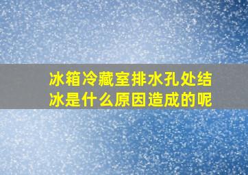 冰箱冷藏室排水孔处结冰是什么原因造成的呢