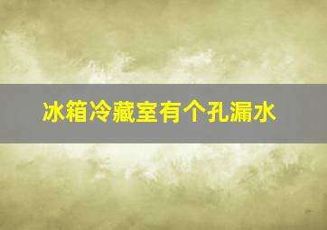 冰箱冷藏室有个孔漏水