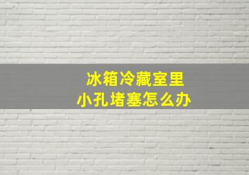 冰箱冷藏室里小孔堵塞怎么办