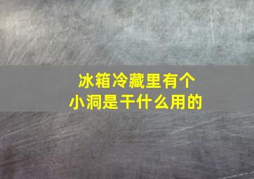 冰箱冷藏里有个小洞是干什么用的