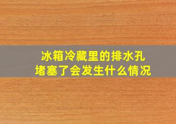 冰箱冷藏里的排水孔堵塞了会发生什么情况