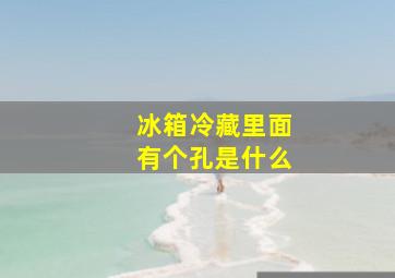 冰箱冷藏里面有个孔是什么