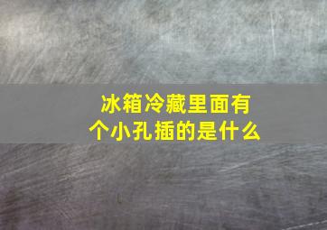 冰箱冷藏里面有个小孔插的是什么