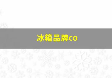 冰箱品牌co