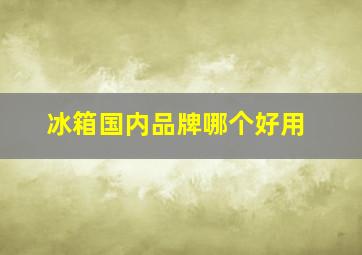 冰箱国内品牌哪个好用