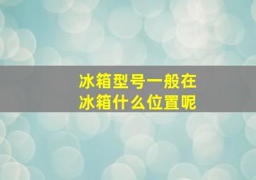 冰箱型号一般在冰箱什么位置呢