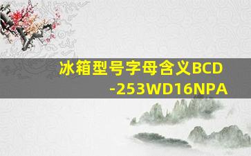 冰箱型号字母含义BCD-253WD16NPA