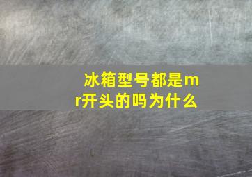 冰箱型号都是mr开头的吗为什么