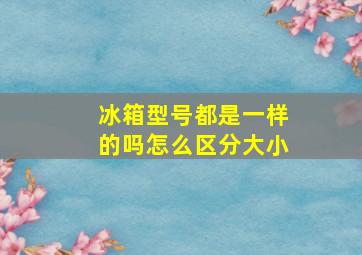 冰箱型号都是一样的吗怎么区分大小