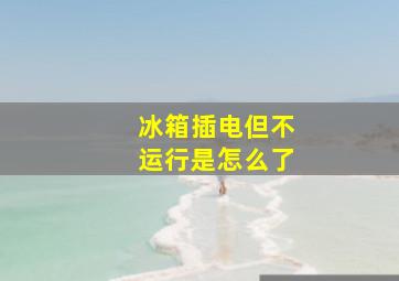 冰箱插电但不运行是怎么了