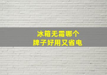 冰箱无霜哪个牌子好用又省电