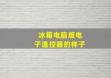 冰箱电脑版电子温控器的样子