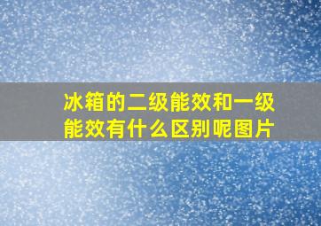 冰箱的二级能效和一级能效有什么区别呢图片