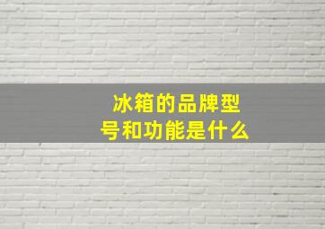 冰箱的品牌型号和功能是什么