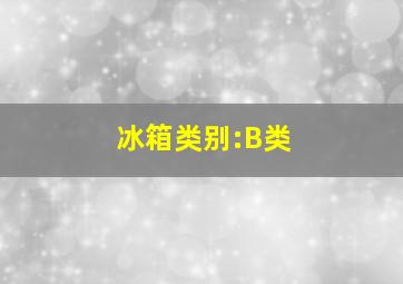 冰箱类别:B类