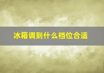 冰箱调到什么档位合适