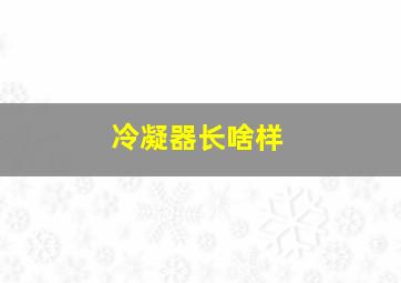 冷凝器长啥样