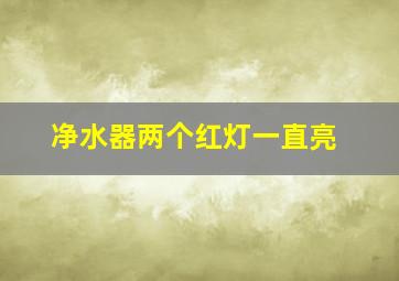 净水器两个红灯一直亮