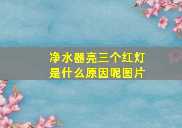 净水器亮三个红灯是什么原因呢图片