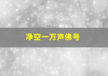 净空一万声佛号