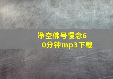 净空佛号慢念60分钟mp3下载