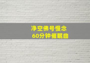 净空佛号慢念60分钟催眠曲