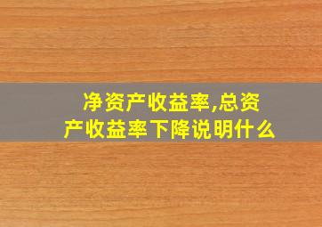 净资产收益率,总资产收益率下降说明什么