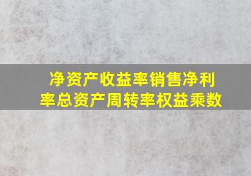 净资产收益率销售净利率总资产周转率权益乘数