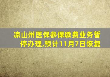 凉山州医保参保缴费业务暂停办理,预计11月7日恢复