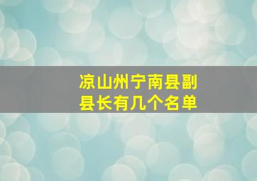 凉山州宁南县副县长有几个名单