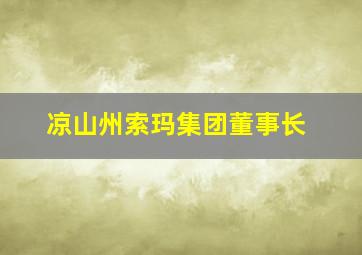 凉山州索玛集团董事长