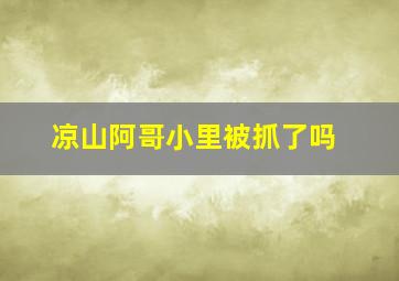 凉山阿哥小里被抓了吗