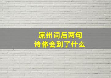 凉州词后两句诗体会到了什么